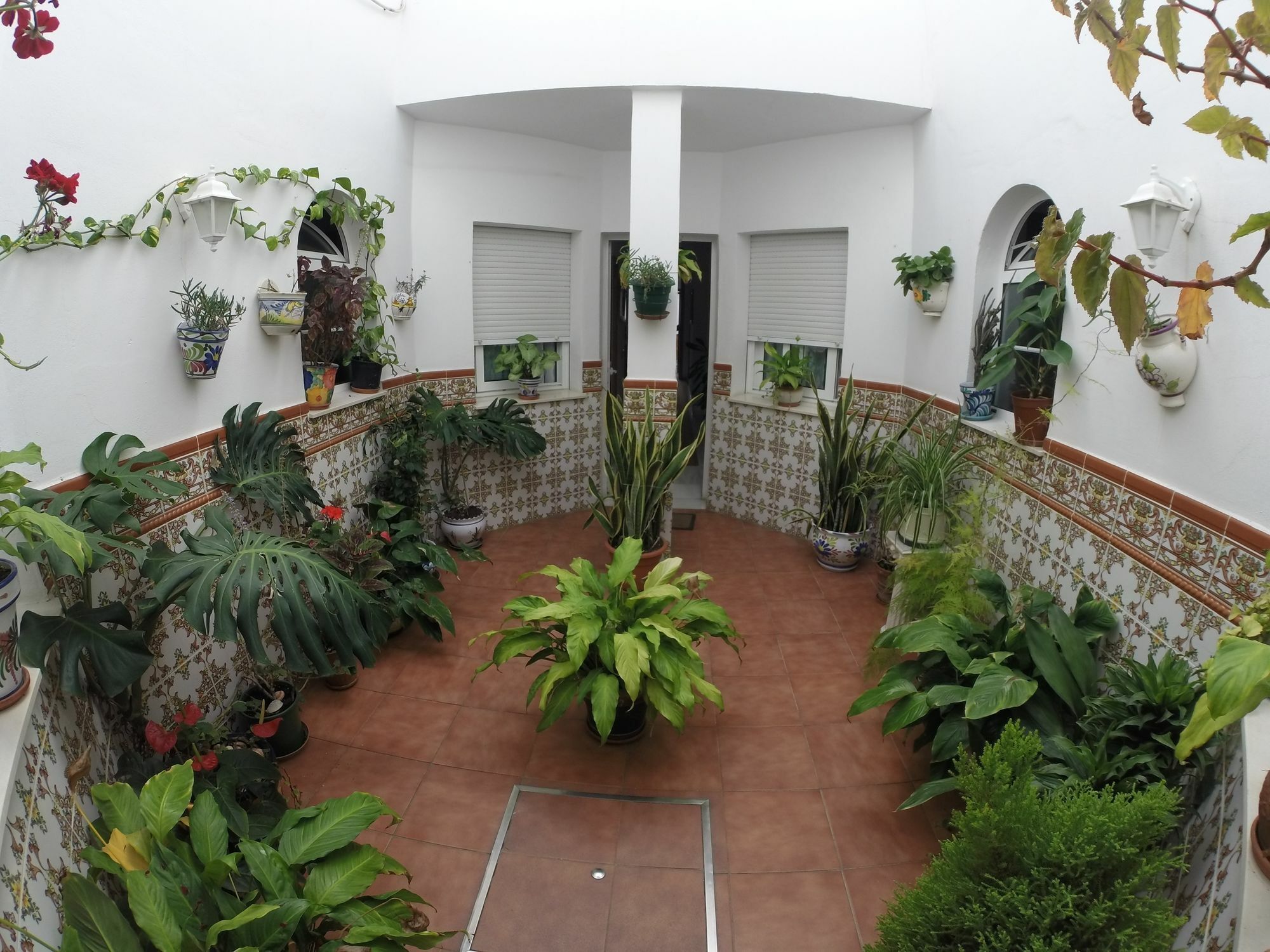 Hostal Andalucia Нерха Экстерьер фото